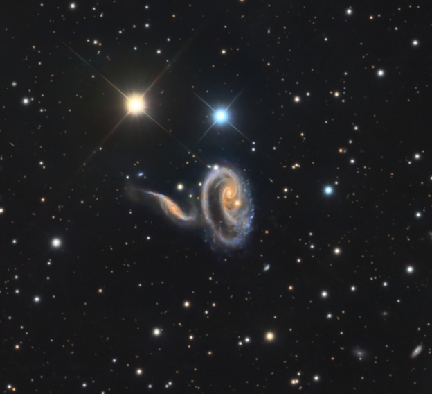 Peculiar Galaxies of Arp 273